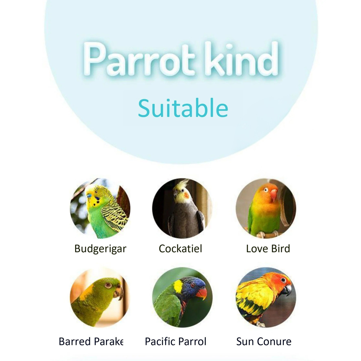 Jonsanty Gold Whole Grain Parrot Food - Love Birds, Cockatiels, Conures