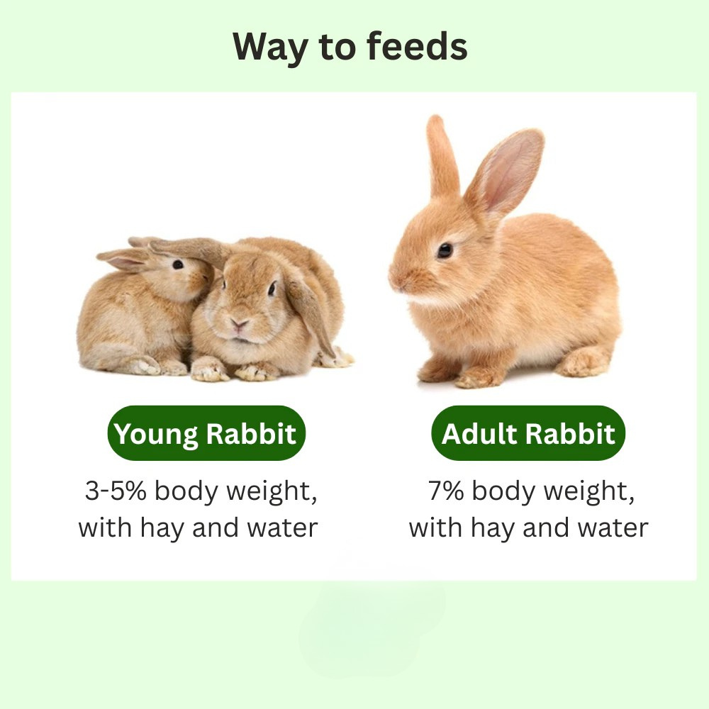 Jonsanty Grass Fiber Rabbit Pallet feed🐰natural high quality pallet food timothy alfalfa hay (2500g)