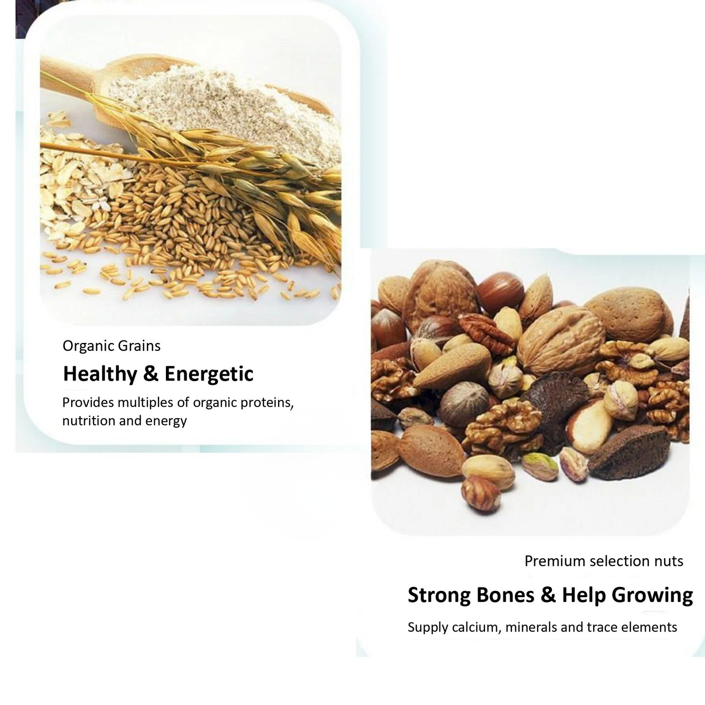 Jonsanty Gold Whole Grain Parrot Food - Love Birds, Cockatiels, Conures