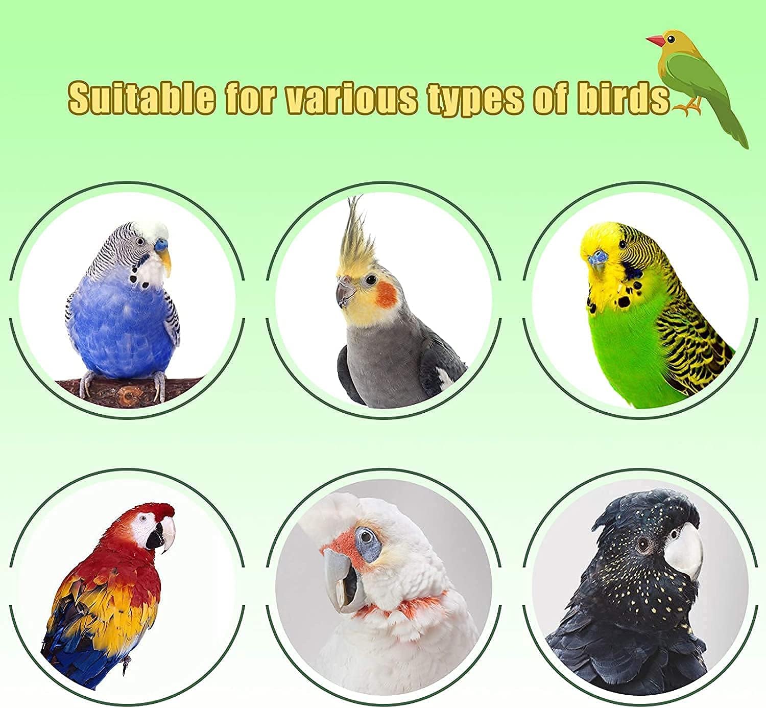 Bird Toys - Parrot Chew Toys with Natural Wood, Suitable for Macaws, Cockatoos, African Greys, Love Birds & More