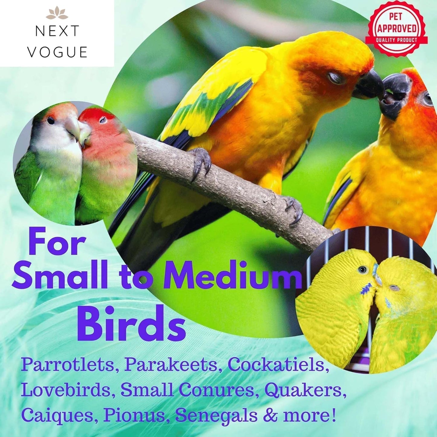 Natural Wood Parrot Toys Set of 6 Pieces for Small to Medium Parrots, Safe and Durable Bird Chew Toys, Fun and Colorful Hanging Accessories for Cage, Non-Toxic and Eco-Friendly Avian Toys