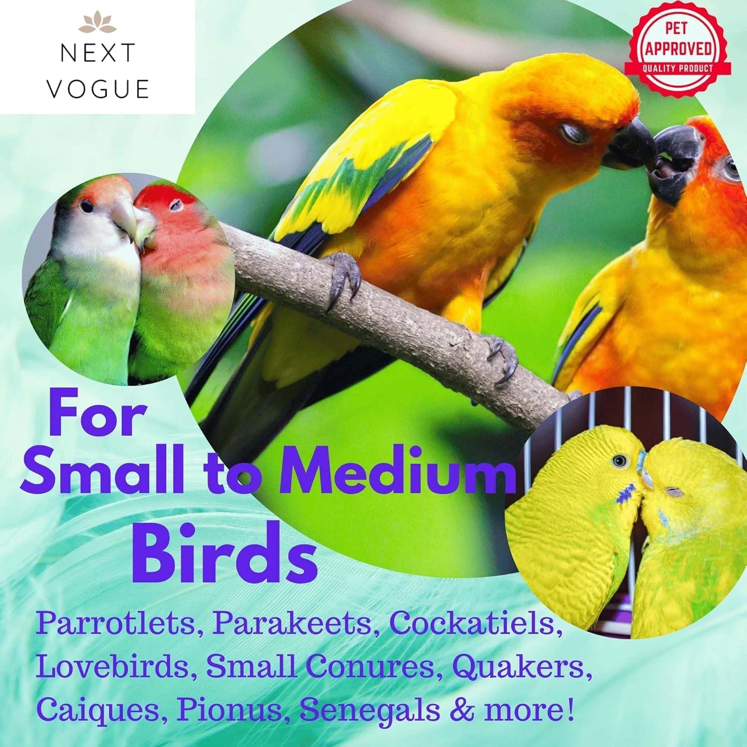 Natural Wood Parrot Toys Set of 6 Pieces for Small to Medium Parrots, Safe and Durable Bird Chew Toys, Fun and Colorful Hanging Accessories for Cage, Non-Toxic and Eco-Friendly Avian Toys