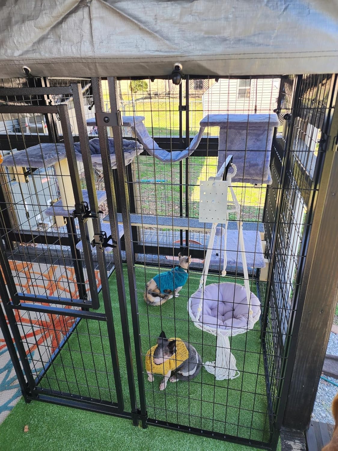 5-Pcs Wall-Mounted Cat Furniture Set with Shelves, Perches, Ladder, Condo & Scratching Board