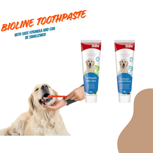 Bioline Dog Toothpaste 100g – Oral Care & Fresh Breath, Mint / Beef Flavor