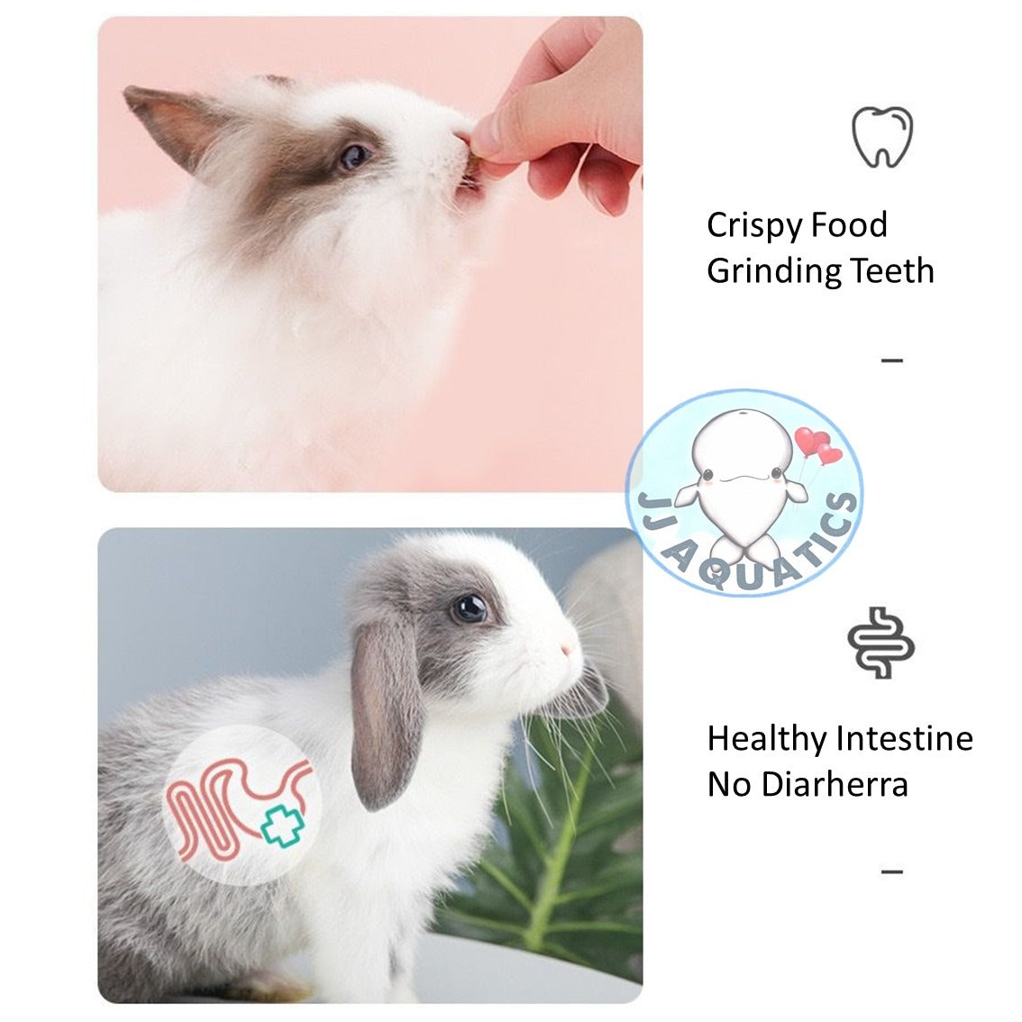 Jonsanty 2.5kg Premium Pasture Fiber Rabbit Food Contain Alfalfa Timothy Added Probiotics Anti Coccidiosis Element