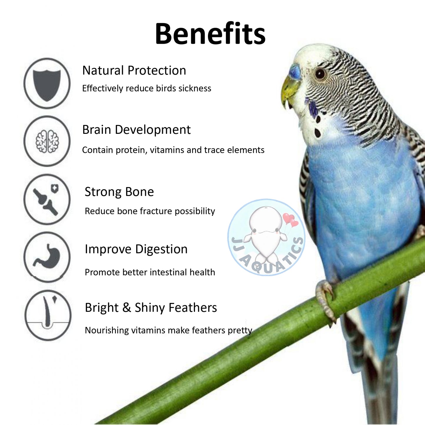 Jonsanty Premium Parrot Bird Food: Cockatiel, Conure, Love Birds, Budgerigar Mynah